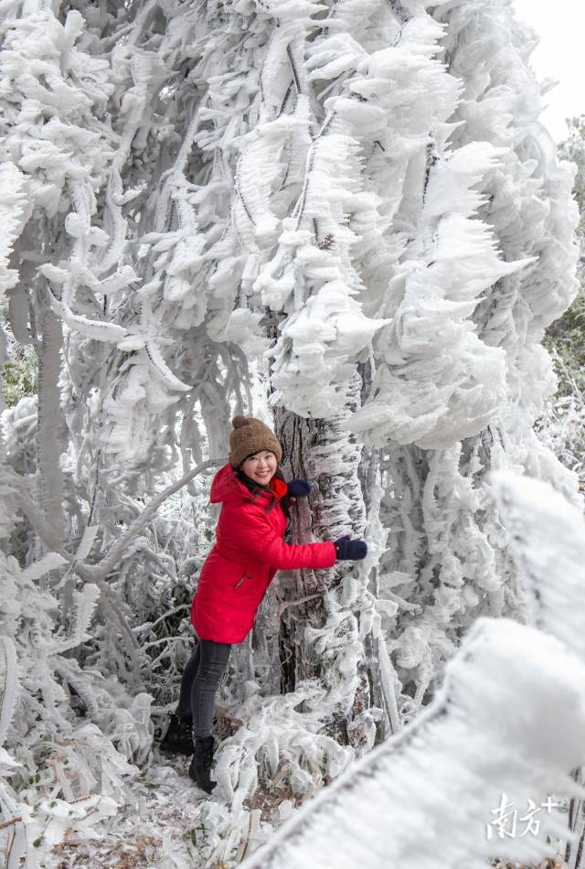 連州雪景醉游人。羅敏 攝
