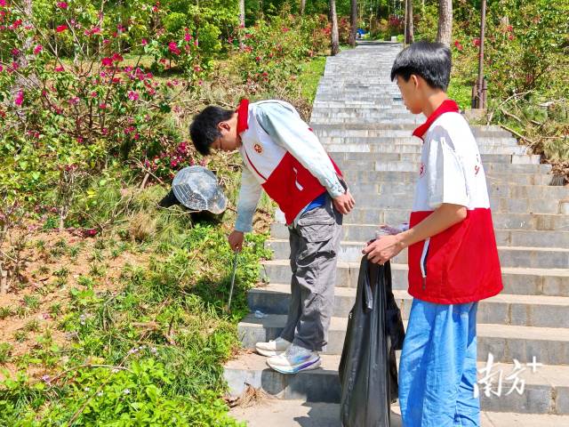 青年志愿者們認(rèn)真清理沿途垃圾、維護(hù)山林整潔。連州鎮(zhèn) 供圖
