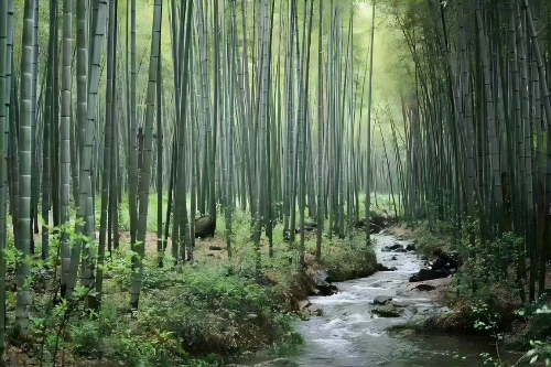 圖片6.png