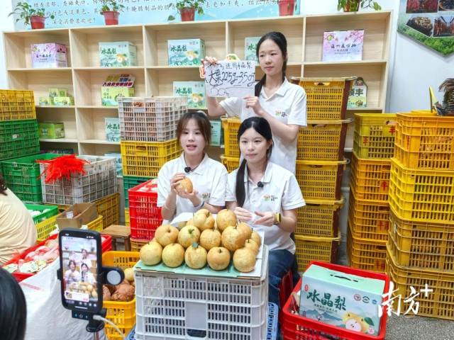 廣東科貿(mào)職業(yè)學(xué)院“粵鄉(xiāng)星火”大學(xué)生突擊服務(wù)隊(duì)到連州開(kāi)啟新一輪駐地助農(nóng)服務(wù)。通訊員供圖
