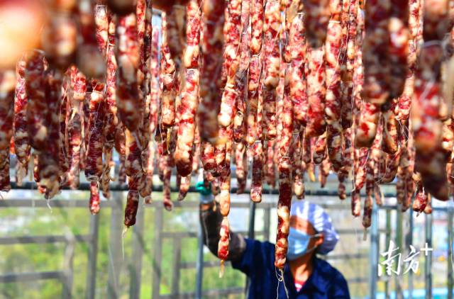 文旅興旺更帶動特色農(nóng)業(yè)騰飛，東陂臘味年產(chǎn)量達(dá)4200噸，綜合產(chǎn)值突破5億元。黃津 攝